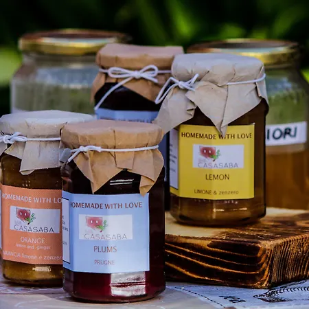 Nocleg ze śniadaniem Casa Saba